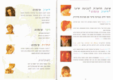 שיער וחשיבה -הדרכה חברת לוריאל